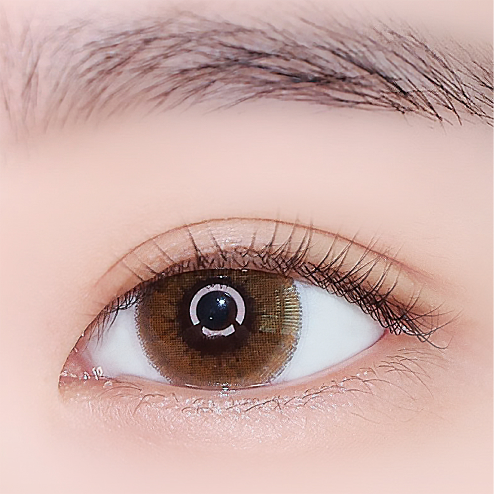 [렌즈랑] 에피 브라운 (1+1)