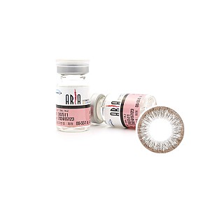 아리아 파이2 그레이 토릭