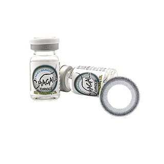 샤갈 블랙 원시